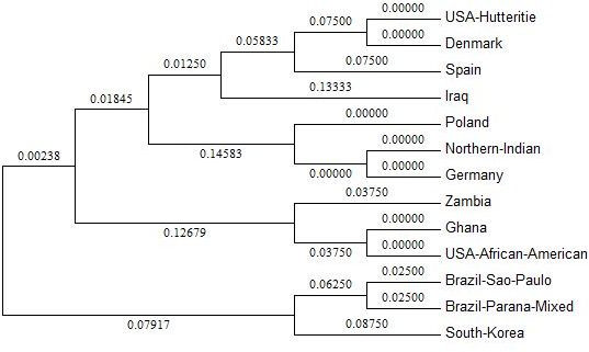 Non-Classical Human Leukocyte Antigen-G Allelic Diversity Among North Indians