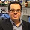 ABDELALI AGOUNI is an Editor of Heart Research – Open Journal at Openventio Publishers.