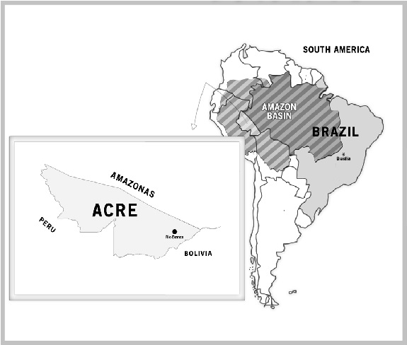 Inadequacies in Good Manufacturing Practices and High Health Risks are Still Problems in Food Production in Public Preschools and Daycares in Rio Branco, Acre, Western Brazilian Amazonia