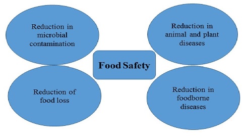 Food Product Innovation and Food Safety: Two Vital Elements of the Global Food Security