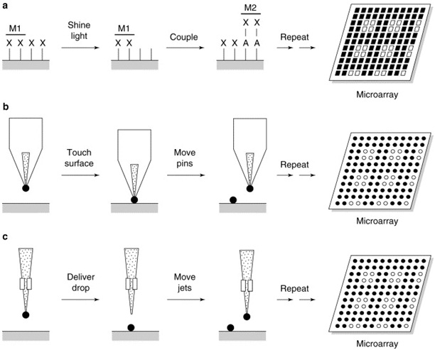 Microarray Microspotting Technique