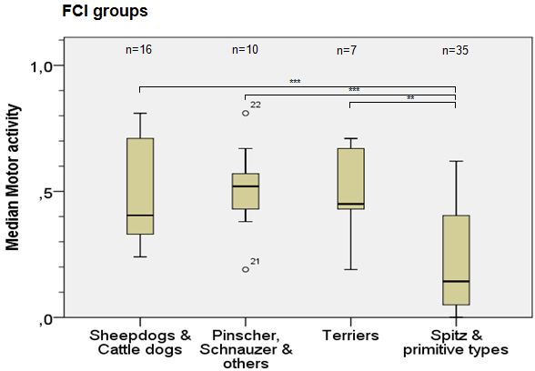 Comparison of Motor Activity Values for Four FCI Dog Groups. The Group “Spitz and Pprimitive Types” has been Represented by the Data Collected from Akita Dogs