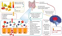 The Association of Dietary Fatty Acids and Gut Microbiota Alterations in the Development of Neuropsychiatric Diseases: A Systematic Review
