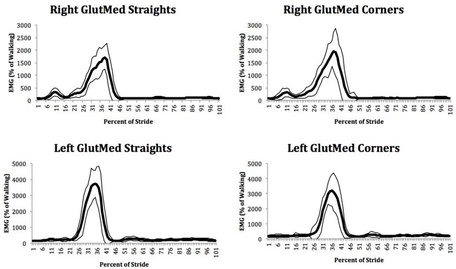 Ensemble average patterns of gluteus medius muscle activation