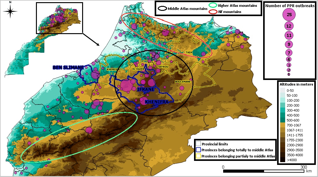 Geographical Distribution of PPR Outbreaks During the 2008 Epizootic in Morocco