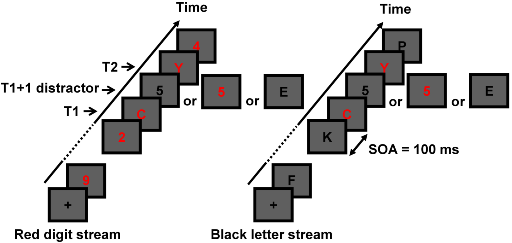 Illustration of the RSVP streams used in Experiment