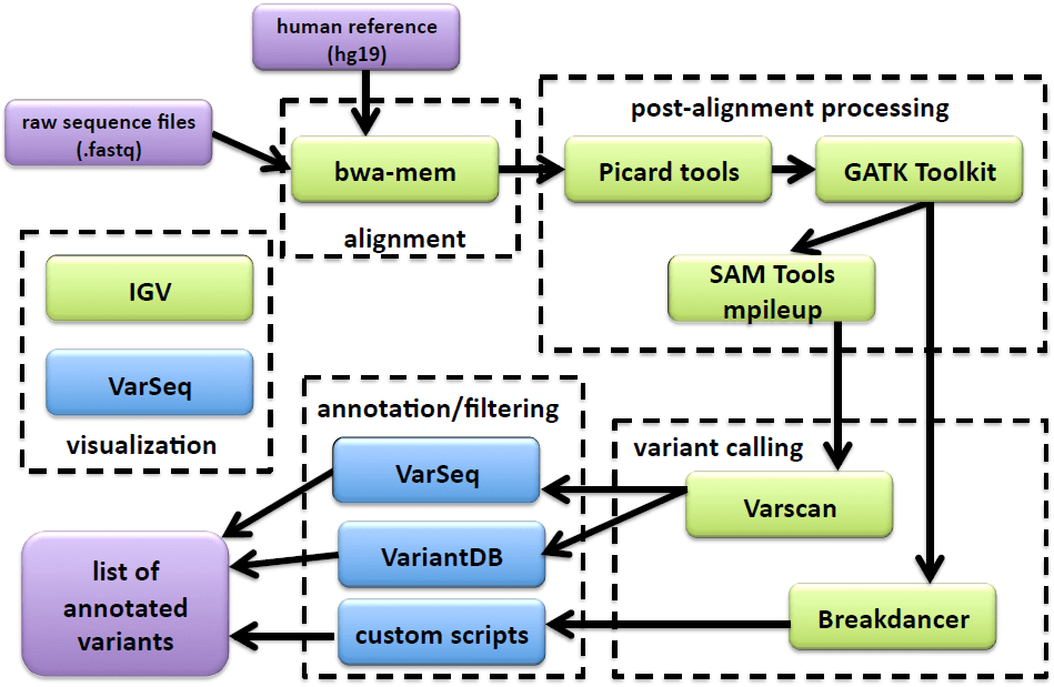 A schematic of the NGS mutation analysis pipeline including alignment