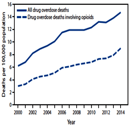 Age-Adjusted Rate of Drug Overdose Deaths and Drug Overdose Deaths Involving Opioids