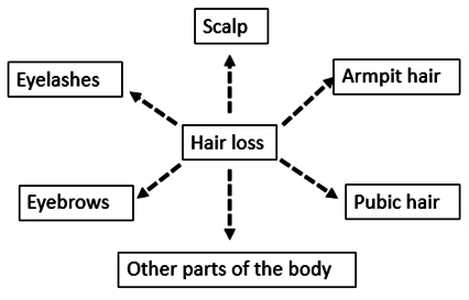Hair Loss in Various Parts of the Body