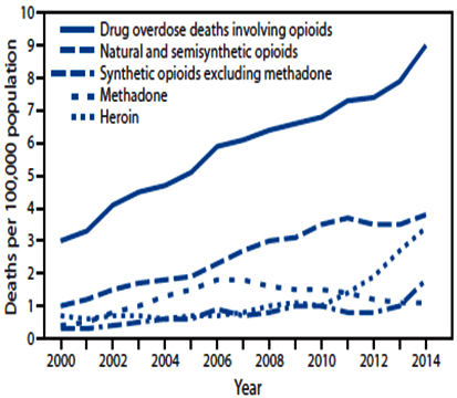 Drug Overdose Deaths Involving Opioids, by Type of Opioids