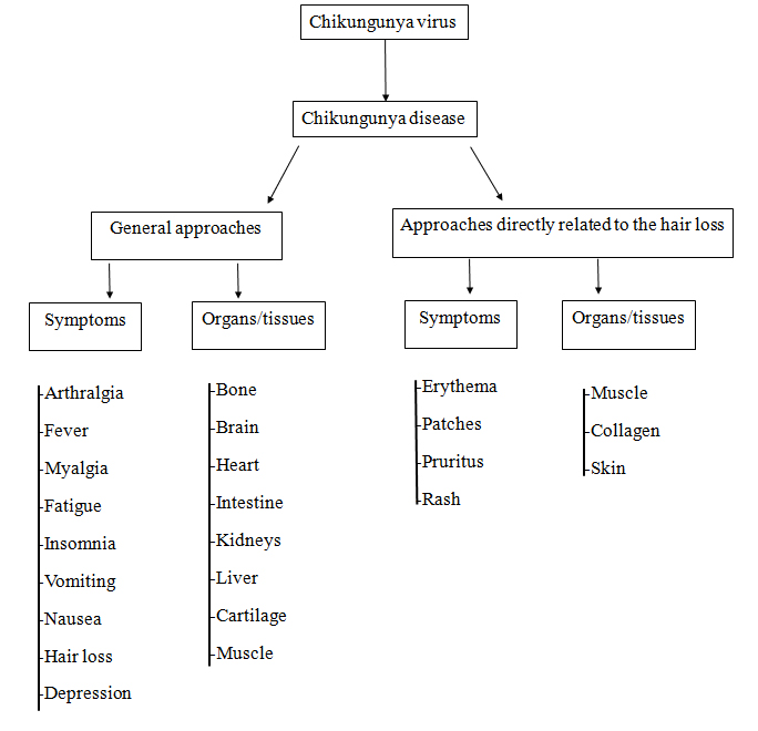 General Approaches of the Chikungunya Disease and the Hair Loss