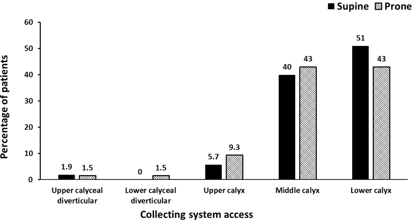 Collecting System Access