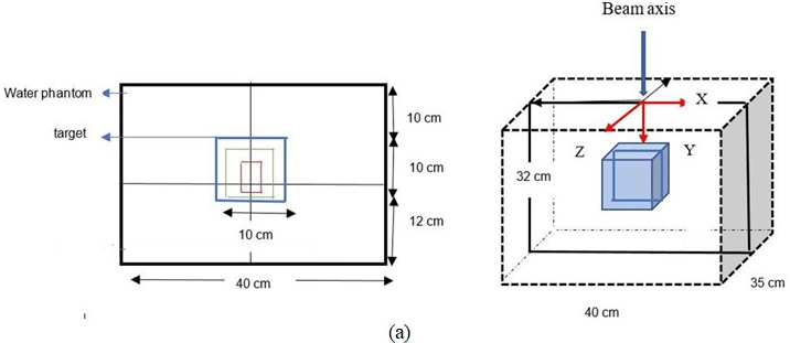 (a) Illustration of Contouring Target Volume Design in Water Phantom (b) Beam Radiation for Variation Depth and Position
