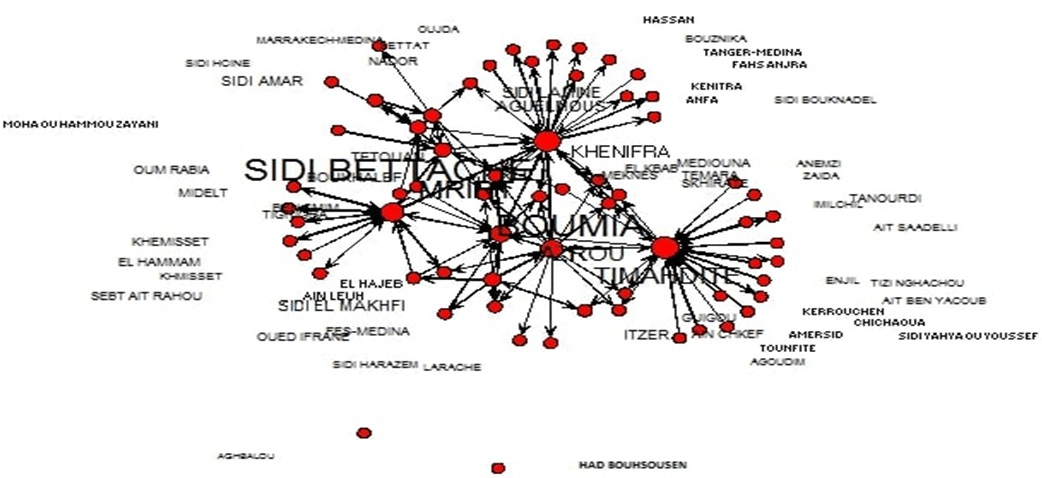 Graphic Representation of the Ovine Network