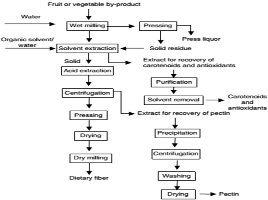 Application of Antioxidants in Food Processing Industry: Options to Improve the Extraction Yields and Market Value of Natural Products