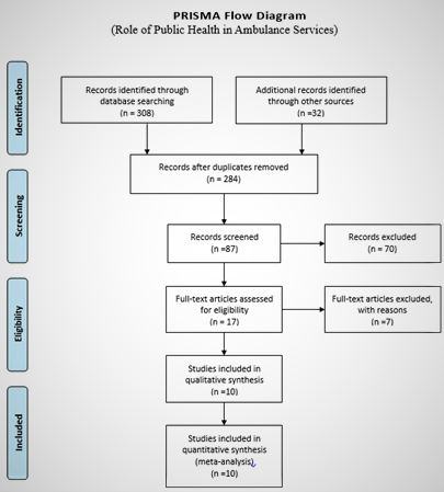 Prisma Flow Diagram used for Articles Selection to Conduct a Literature Review