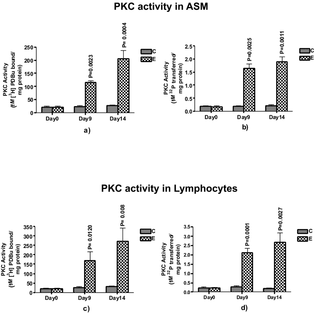 Assessment of PKC activity in Airway smooth muscle