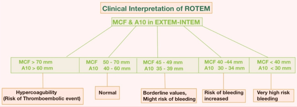 Clinical Interpretation of ROTEM®