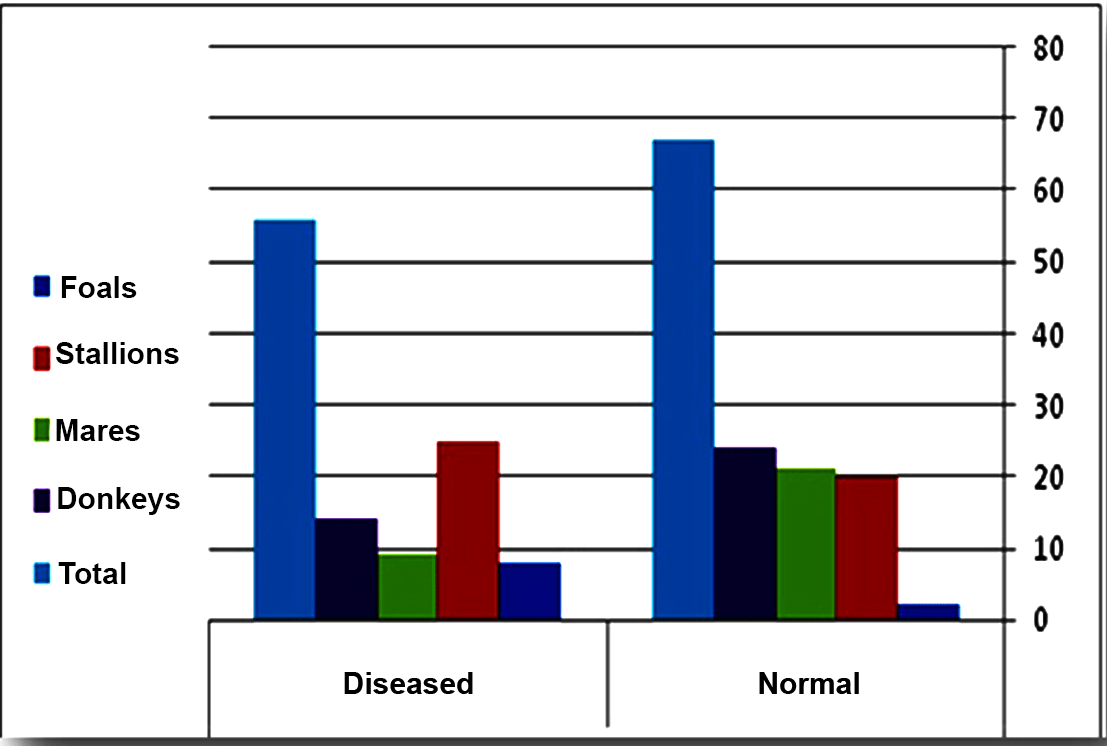 Showing the Percentage of the Diseased and the Normal Animals