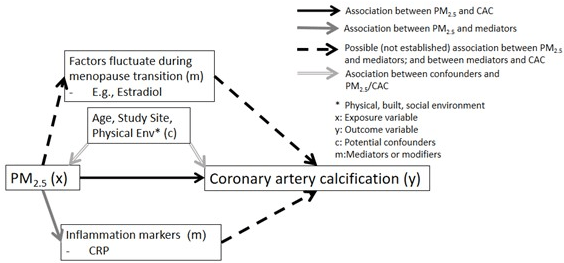 Potential Pathways of PM2.5 and its Potential Involvement in the Development of CAC