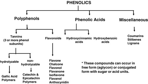 An Overview of Plant Phenolics Measurement