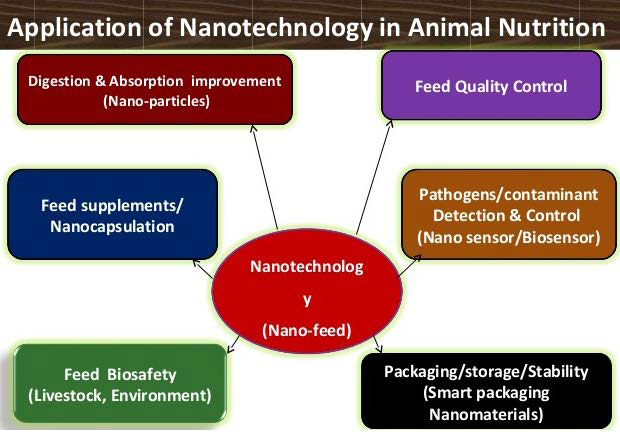 Nanotechnology and its Application in Animal Production: A Review