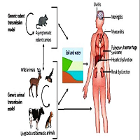 Review on Leptospirosis and its Public Health Significance