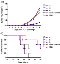 Fluorinated Lipids Conjugated to Peptide Antigens do not Induce Immune Responses Against Cervical Cancer