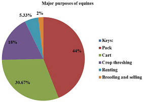 Assessment of Socio-economic Importance and Major Constraints of Working Equines in and around Debre Berhan Town, Central Ethiopia